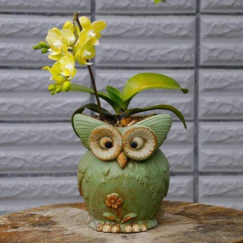 Crookshanks Owl Plant Ceramic Pot