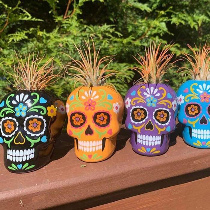 Day of the Dead Sugar Skull Flower Pot