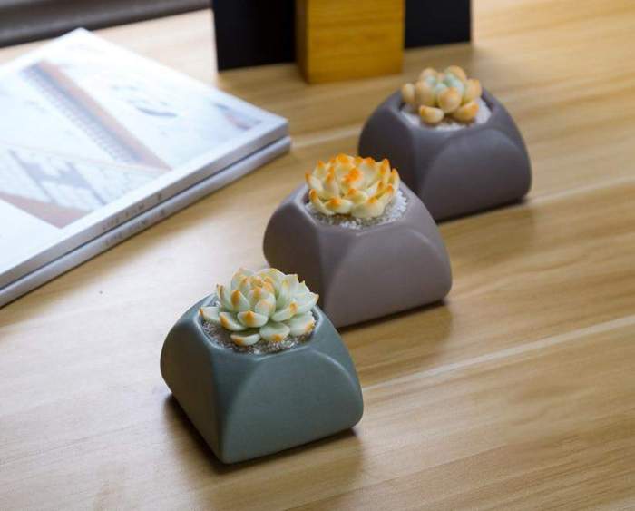 Set of 3 Matte Glaze Ceramic Plant Pots