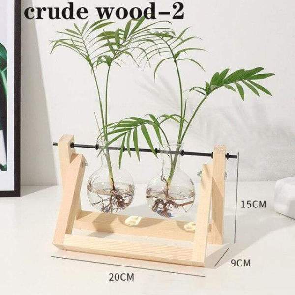 Hydroponic Glass Plant Holder