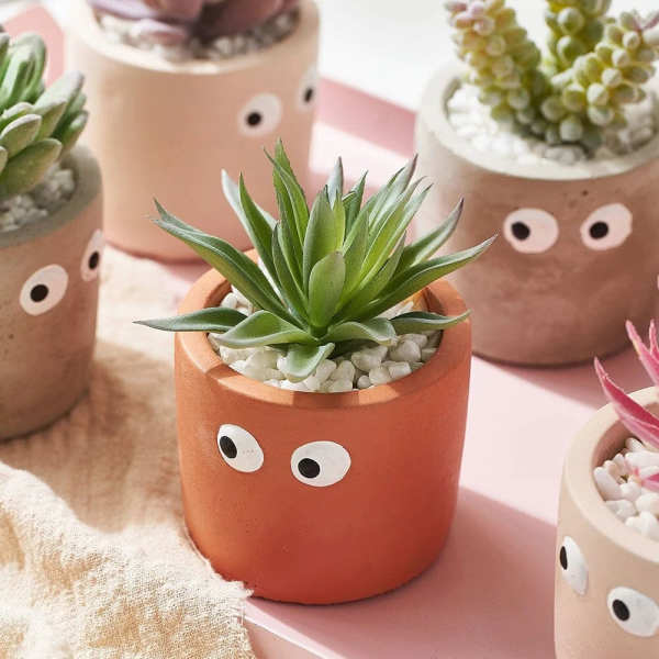 Eyes Seeing you Flower Pot