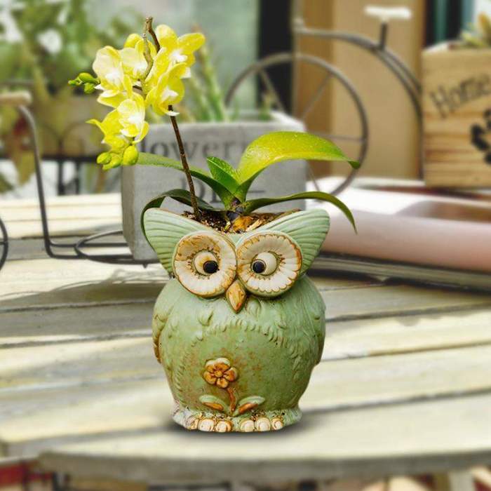 Crookshanks Owl Plant Ceramic Pot