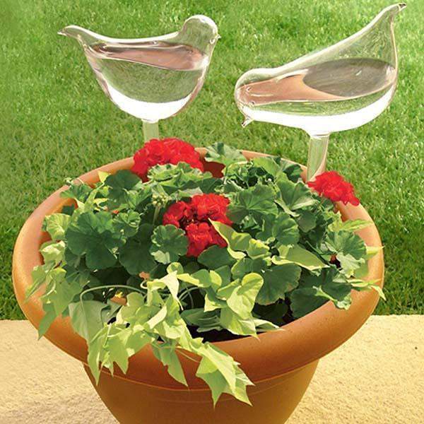 Self Watering Bird Globes