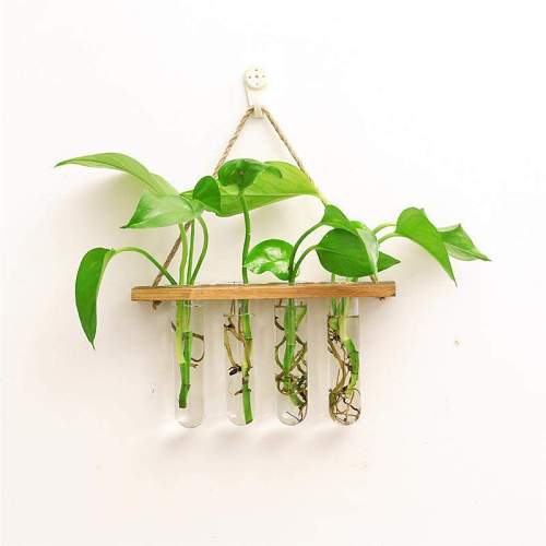 Wall-Mounted Hydroponic Tube Vases