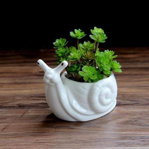 Snail Flower Pot