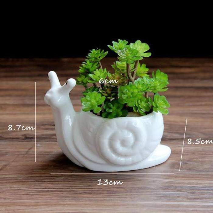 Snail Flower Pot