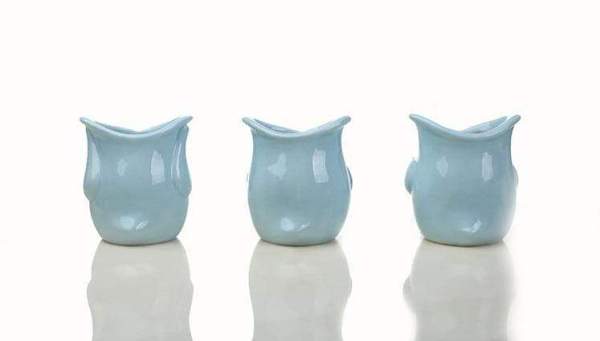 The 3 Wise Owls
