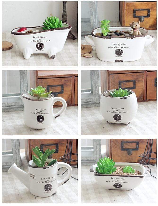 Vintage Succulent Flower Pot