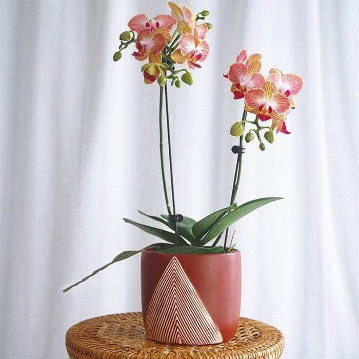 Nordic Flowerpot