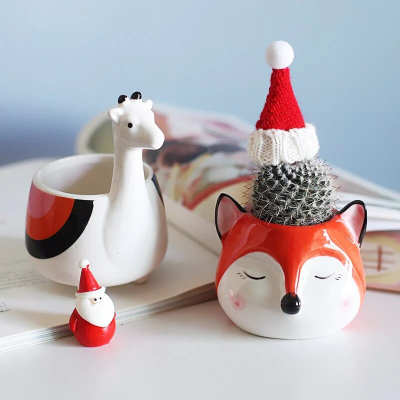 Cartoon Animal Succulent Pot
