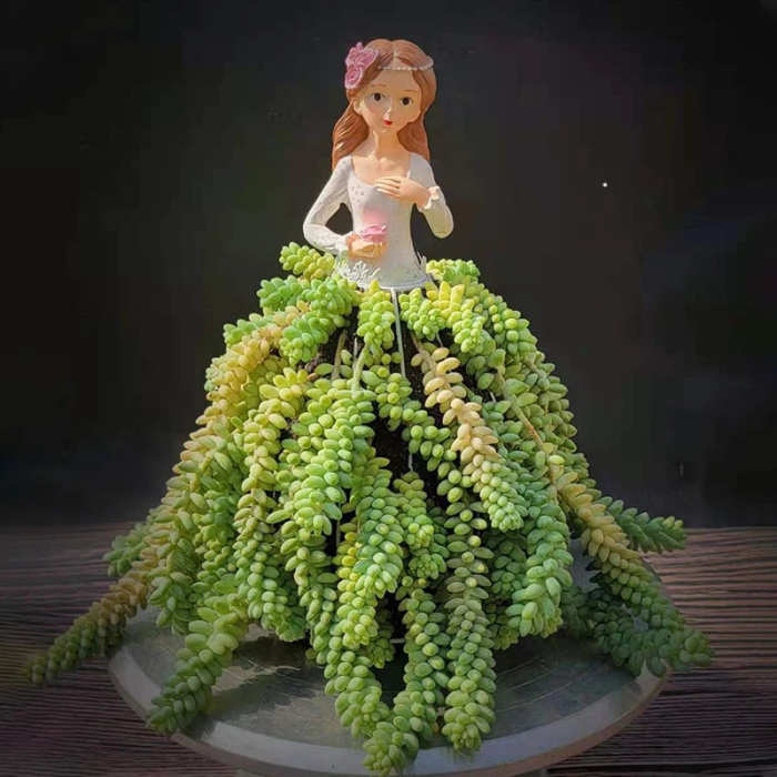 Cute Princess Skirt Succulent Planters