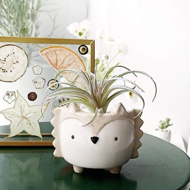 Small Animal Flower Pot