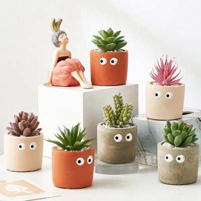 Eyes Seeing you Flower Pot