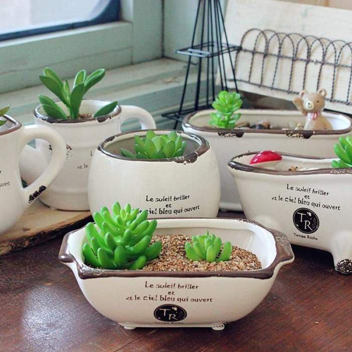Vintage Succulent Flower Pot