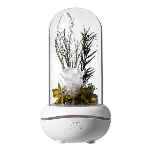 Eternal Rose Flower Aroma Diffuser