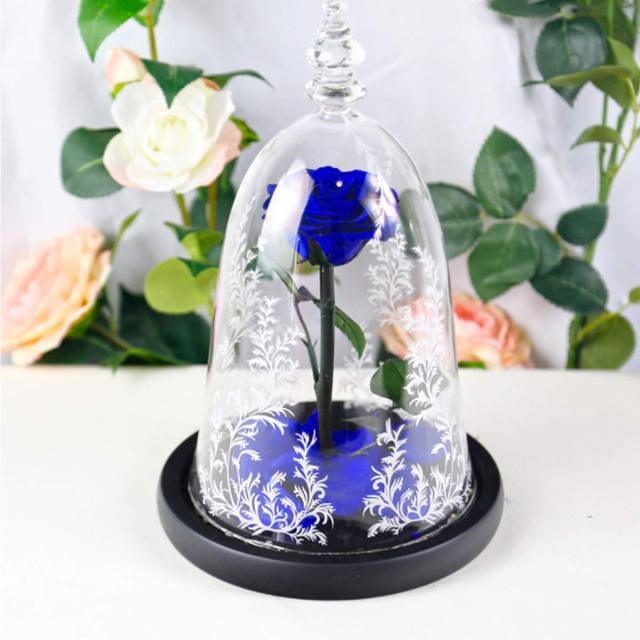 Eternal Rose In Glass Dome with LED Lights