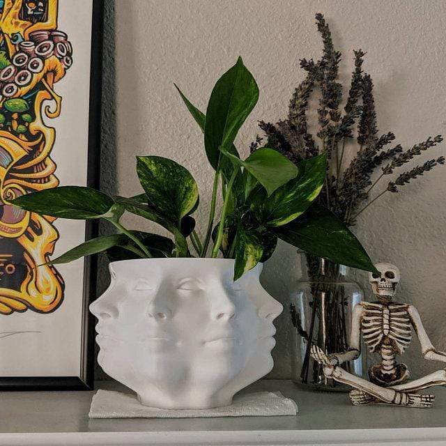 Multi-Face Succulent Planter Vase Plant Pot