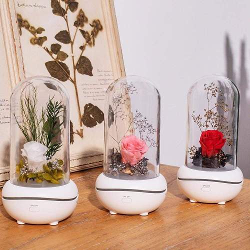 Eternal Rose Flower Aroma Diffuser