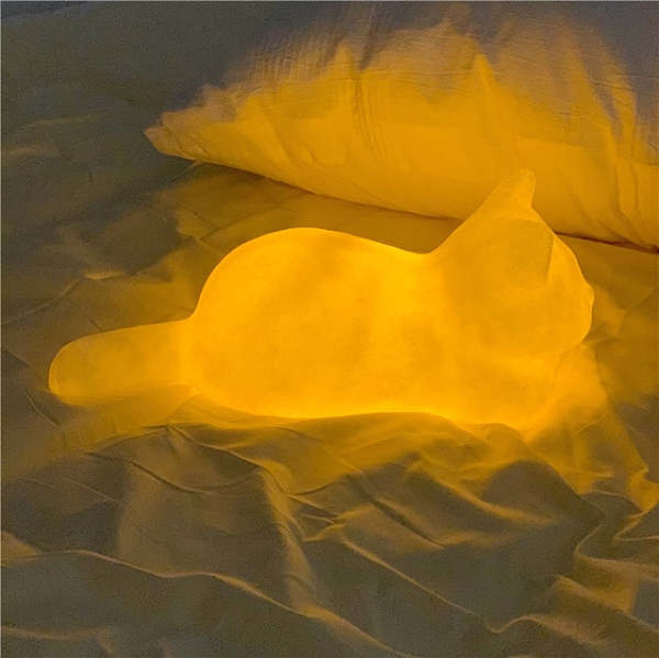Soft Glow Cat Light
