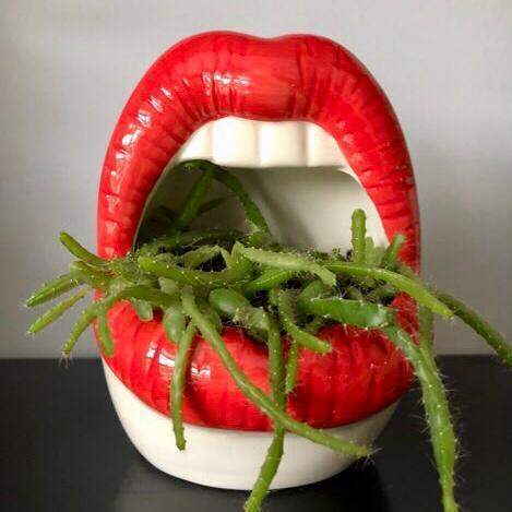 Lips Flower Pot