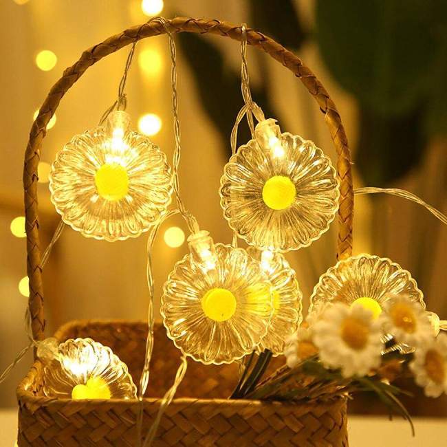 Daisy LED String Lights