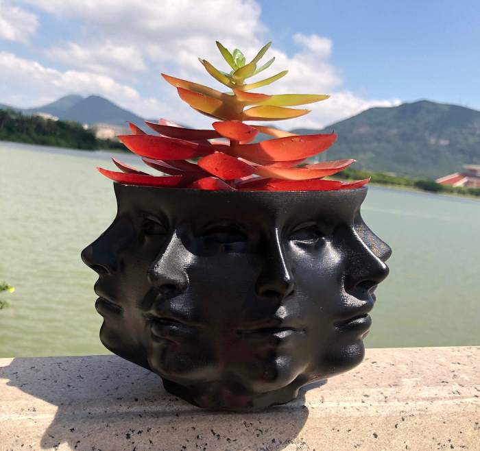 Multi-Face Succulent Planter Vase Plant Pot