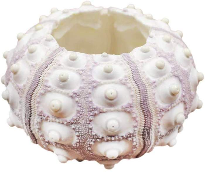 Sea Urchin Planter Vase