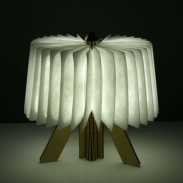 Standing Wooden Book Light