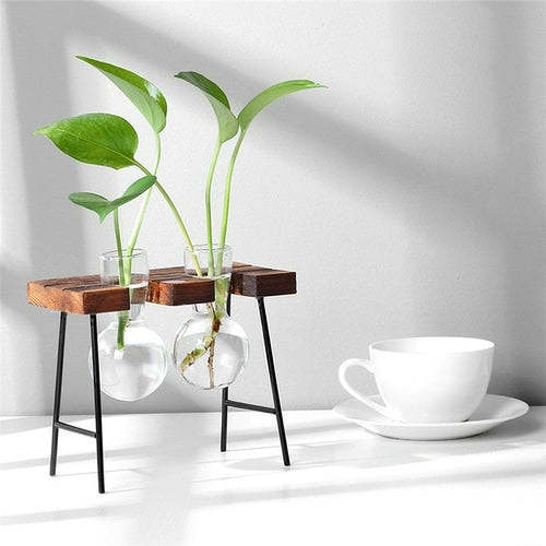 Terrarium Tabletop Planter