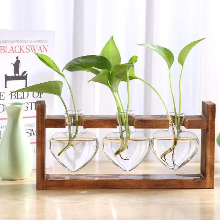 Terrarium Tabletop Planter