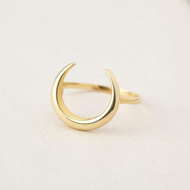 Crescent Moon Ring Silver Horn Ring