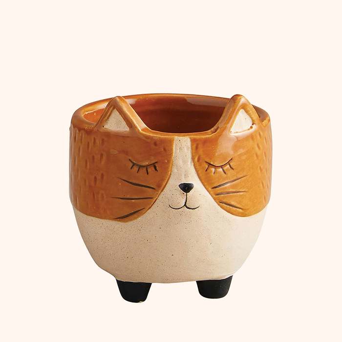 Cat Ceramic Pot | Brown