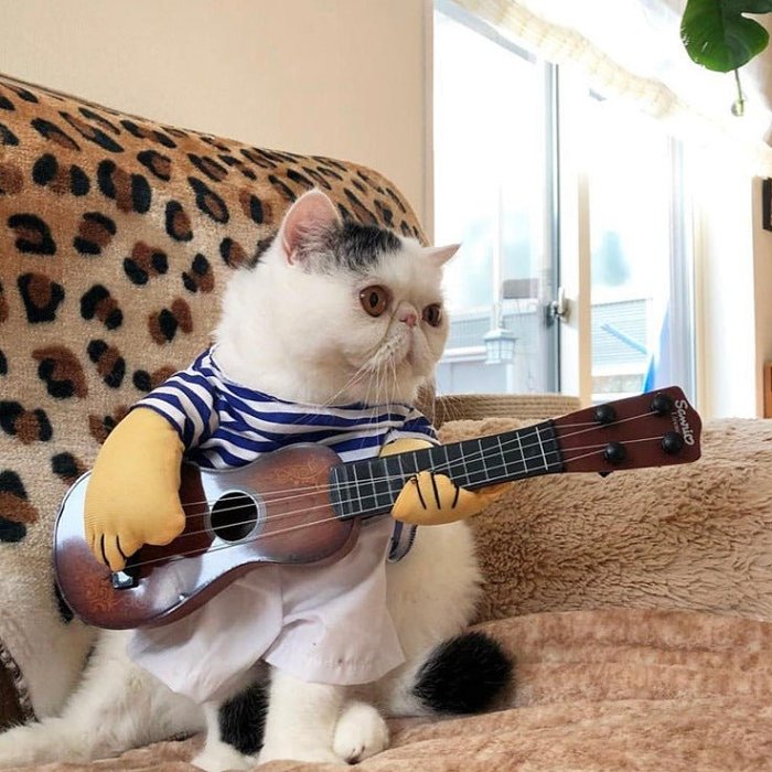 Guitar Playing Pet Shirt