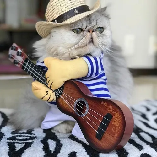 Guitar Playing Pet Shirt