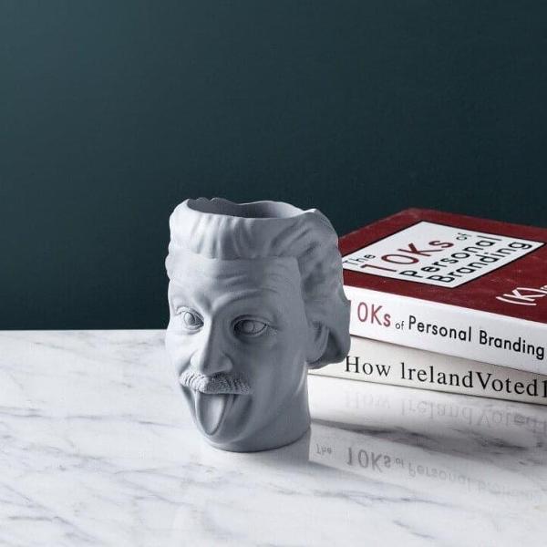 Sticking Tongue Einstein Succulent Vase