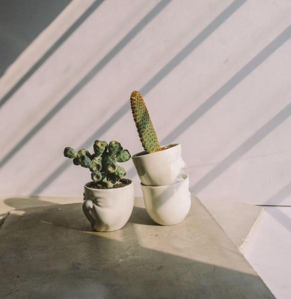Porcelain Baby Faces Planters - Set of 3
