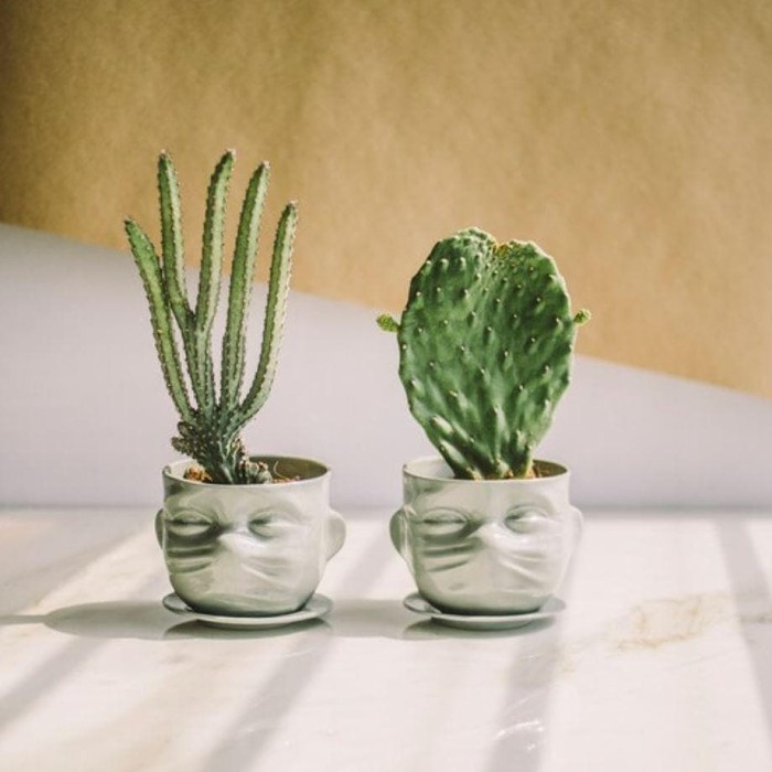 Face Mask Succulent Porcelain Planter