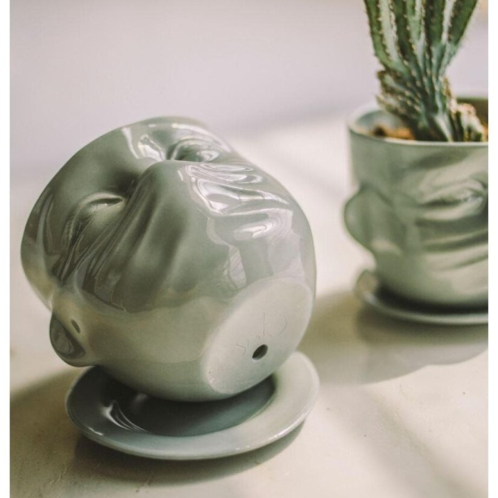 Face Mask Succulent Porcelain Planter
