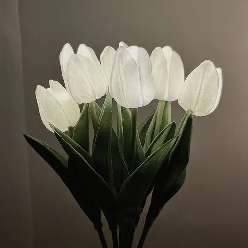 Tulip Atmosphere Night Lamp