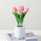 5 flowers - greenpink