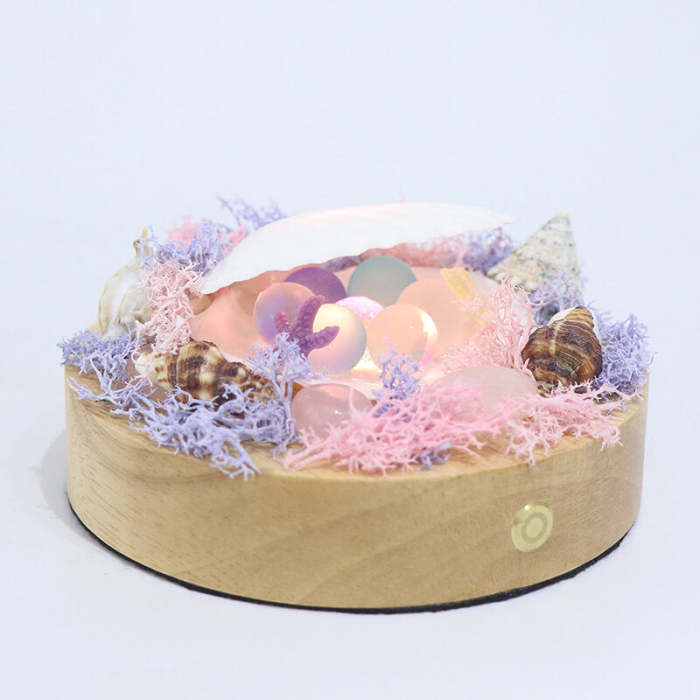 Shell Night Lamp