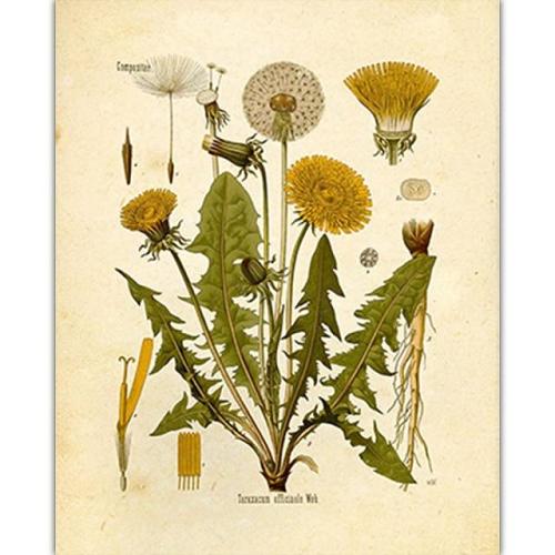 Wild Flowers Wall Art by Veasoon