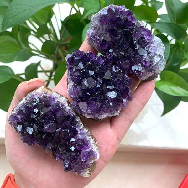 Natural Amethyst Cluster by Veasoon