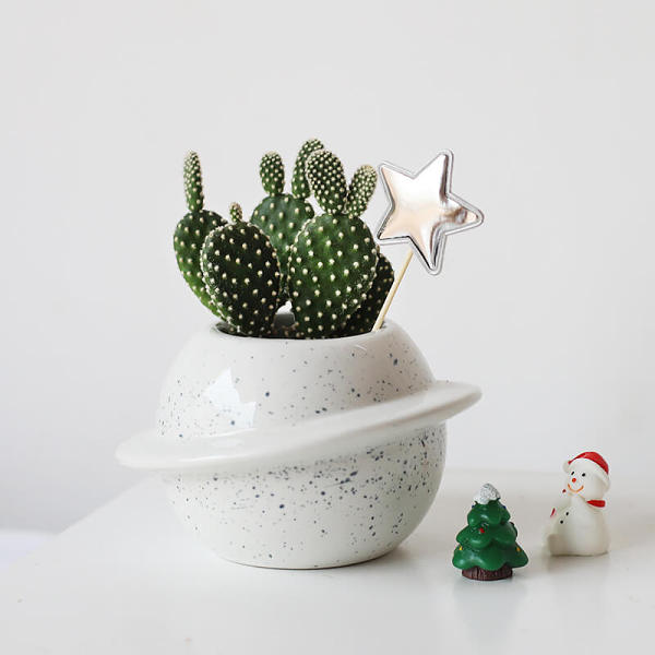 Planet Vase Decoration