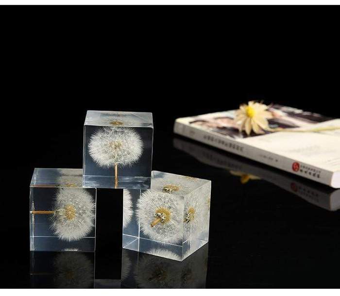 Preserved Flowers Crystals by Veasoon