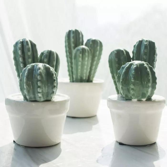 Cactus Pot Decor by Veasoon