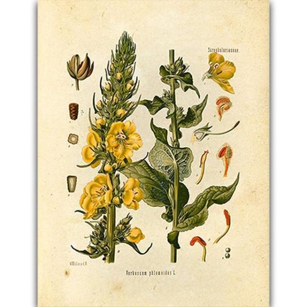Wild Flowers Wall Art by Veasoon