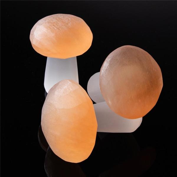 Selenite Mushroom Carving by Veasoon