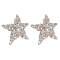 Starfish 1
