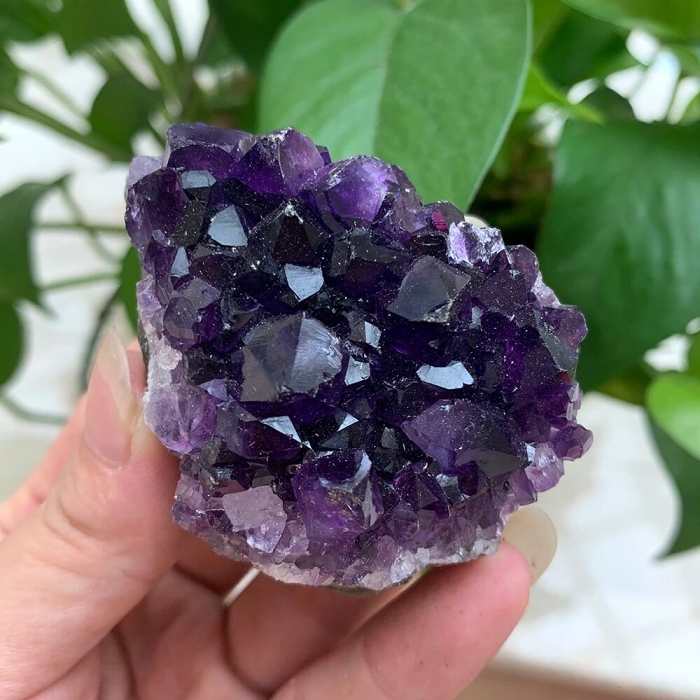 Natural Amethyst Cluster by Veasoon